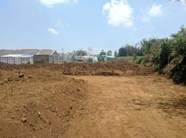  Land for sale in Jabung, Malang Regency, Jabung