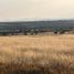  Land for sale in Dolores Hidalgo, Guanajuato, Dolores Hidalgo