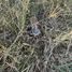  Land for sale in Dolores Hidalgo, Guanajuato, Dolores Hidalgo