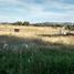  Grundstück zu verkaufen in Caleu Caleu, La Pampa, Caleu Caleu, La Pampa