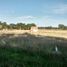  Grundstück zu verkaufen in Caleu Caleu, La Pampa, Caleu Caleu, La Pampa