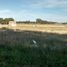  Grundstück zu verkaufen in Caleu Caleu, La Pampa, Caleu Caleu, La Pampa