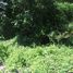  Terreno (Parcela) en venta en Cebu City, Central Visayas, Cebu City, Cebu, Central Visayas, Filipinas