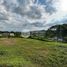  Land for sale in Neira, Caldas, Neira