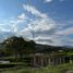  Land for sale in Neira, Caldas, Neira