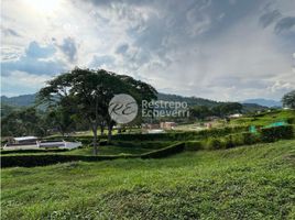  Grundstück zu verkaufen in Neira, Caldas, Neira