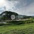  Land for sale in Neira, Caldas, Neira