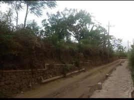  Land for sale in Malang Regency, East Jawa, Dau, Malang Regency