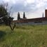  Grundstück zu verkaufen in Irapuato, Guanajuato, Irapuato