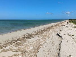 在Celestun, Yucatan出售的 土地, Celestun