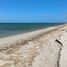  Grundstück zu verkaufen in Celestun, Yucatan, Celestun