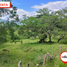  Land for sale in Socorro, Santander, Socorro