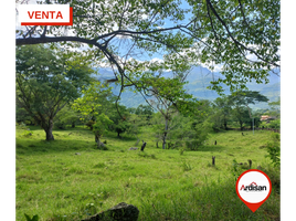  Land for sale in Santander, Socorro, Santander