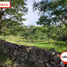  Land for sale in Socorro, Santander, Socorro