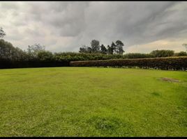  Terreno (Parcela) en venta en Rionegro, Antioquia, Rionegro