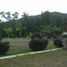 Terrain à vendre à Jocotepec, Jalisco, Jocotepec