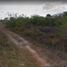  Grundstück zu verkaufen in Yaxkukul, Yucatan, Yaxkukul, Yucatan