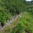  Terreno (Parcela) en venta en Miacatlan, Morelos, Miacatlan, Morelos