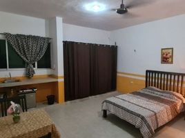  Condo for rent in Merida, Yucatan, Merida, Yucatan