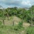 在Coatzacoalcos, Veracruz出售的 土地, Coatzacoalcos