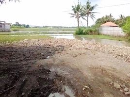  Tanah for sale in Bantul, Yogyakarta, Pajangan, Bantul