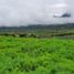  Land for sale in Bumiaji, East Jawa, Bumiaji, Malang Regency