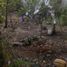 2 Bedroom House for sale in Alvaro Obregon, Michoacan, Alvaro Obregon