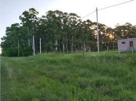  Land for sale in Uruguay Entre Rios, Uruguay
