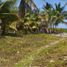Terrain à vendre à Othon P Blanco, Quintana Roo, Othon P Blanco