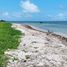 Terrain à vendre à Othon P Blanco, Quintana Roo, Othon P Blanco
