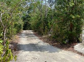  Grundstück zu verkaufen in Cozumel, Quintana Roo, Cozumel