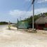  Grundstück zu verkaufen in Cozumel, Quintana Roo, Cozumel