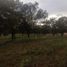  Land for sale in Xaltocan, Tlaxcala, Xaltocan
