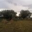  Land for sale in Xaltocan, Tlaxcala, Xaltocan