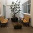 12 m² Office for rent in Mexico City, Miguel Hidalgo, Mexico City