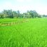  Tanah for sale in Ubud, Gianyar, Ubud