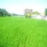  Land for sale in Ubud, Gianyar, Ubud