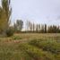  Land for sale in Confluencia, Neuquen, Confluencia