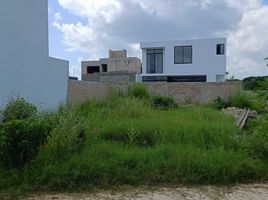 Terrain à vendre à Conkal, Yucatan, Conkal