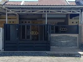 2 Kamar Rumah for rent in Gresik, East Jawa, Driyorejo, Gresik