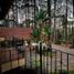 7 Bedroom House for sale in Mazamitla, Jalisco, Mazamitla