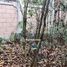 4 Kamar Vila for sale in Citeureup, West Jawa, Citeureup, Bogor, West Jawa, Indonesia