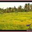  Land for sale in Selemadeg, Tabanan, Selemadeg