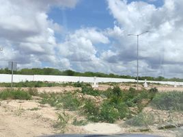  Grundstück zu verkaufen in Merida, Yucatan, Merida, Yucatan