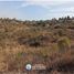  Land for sale in Punilla, Cordoba, Punilla