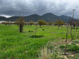  Terreno (Parcela) en venta en Arteaga, Coahuila, Arteaga