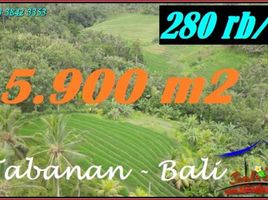  Tanah for sale in Selemadeg, Tabanan, Selemadeg