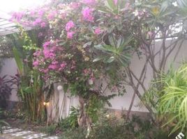  Villa for sale in An Phu Tay, Binh Chanh, An Phu Tay