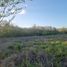  Land for sale in Seye, Yucatan, Seye
