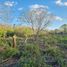  Land for sale in Seye, Yucatan, Seye